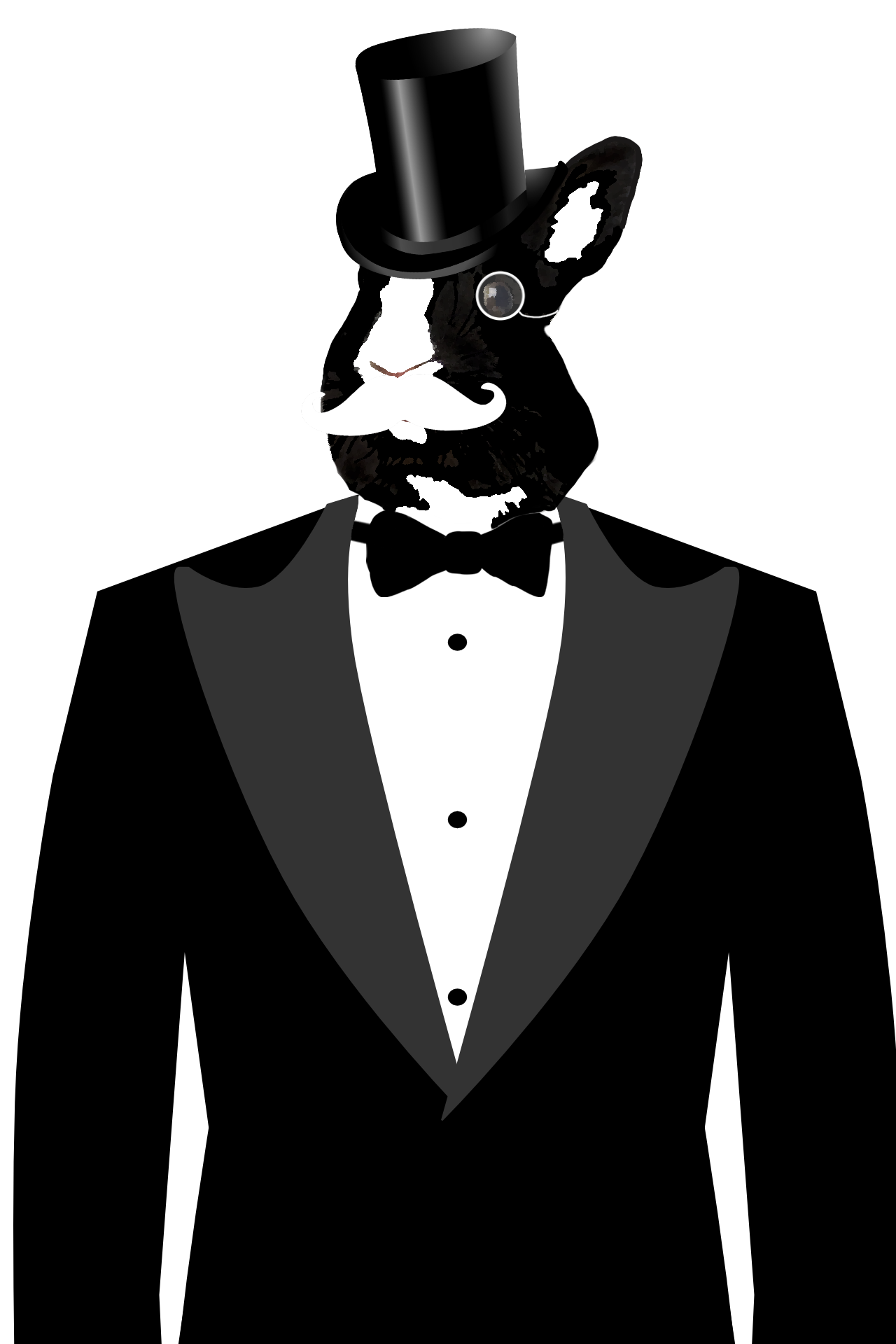 mr. bunny logo